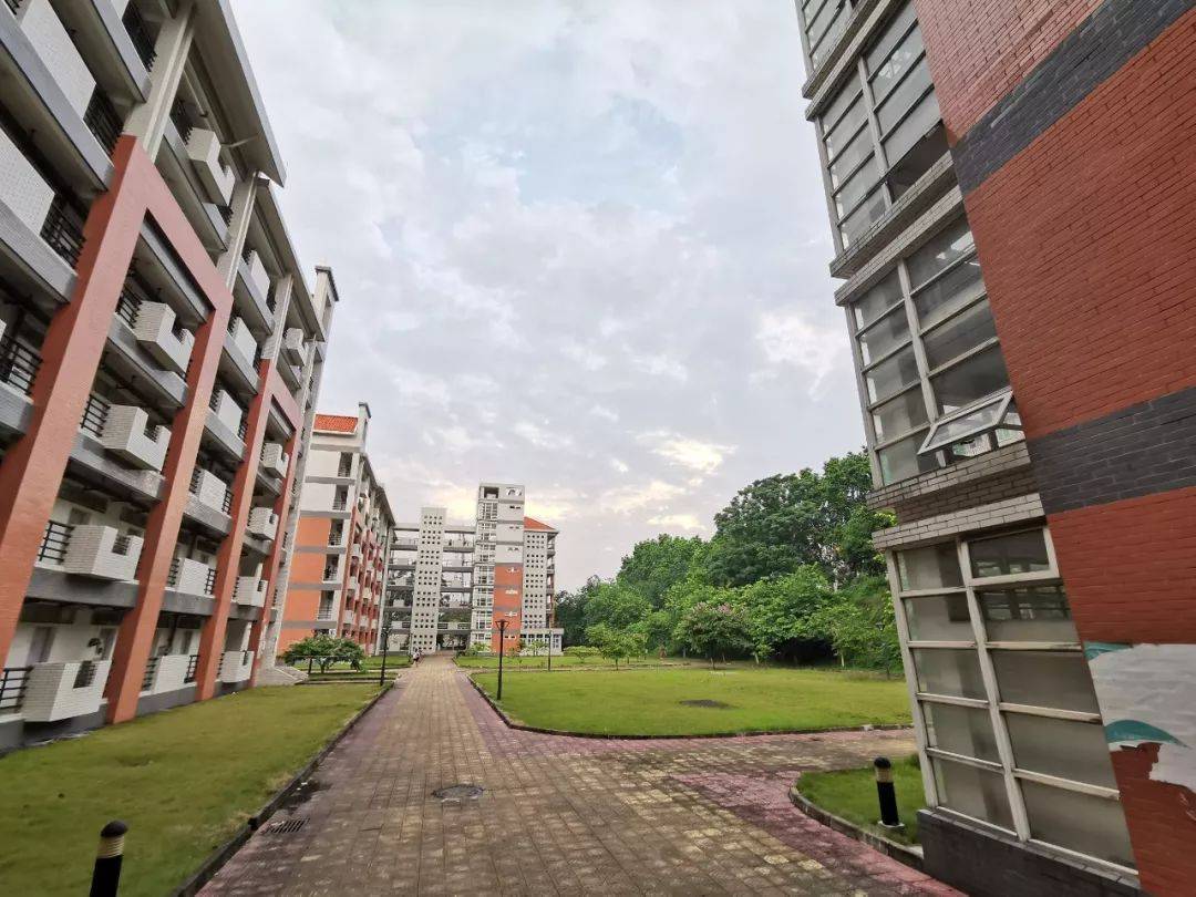 广东财经大学在哪个街道(广东财经大学具体地址在哪里)