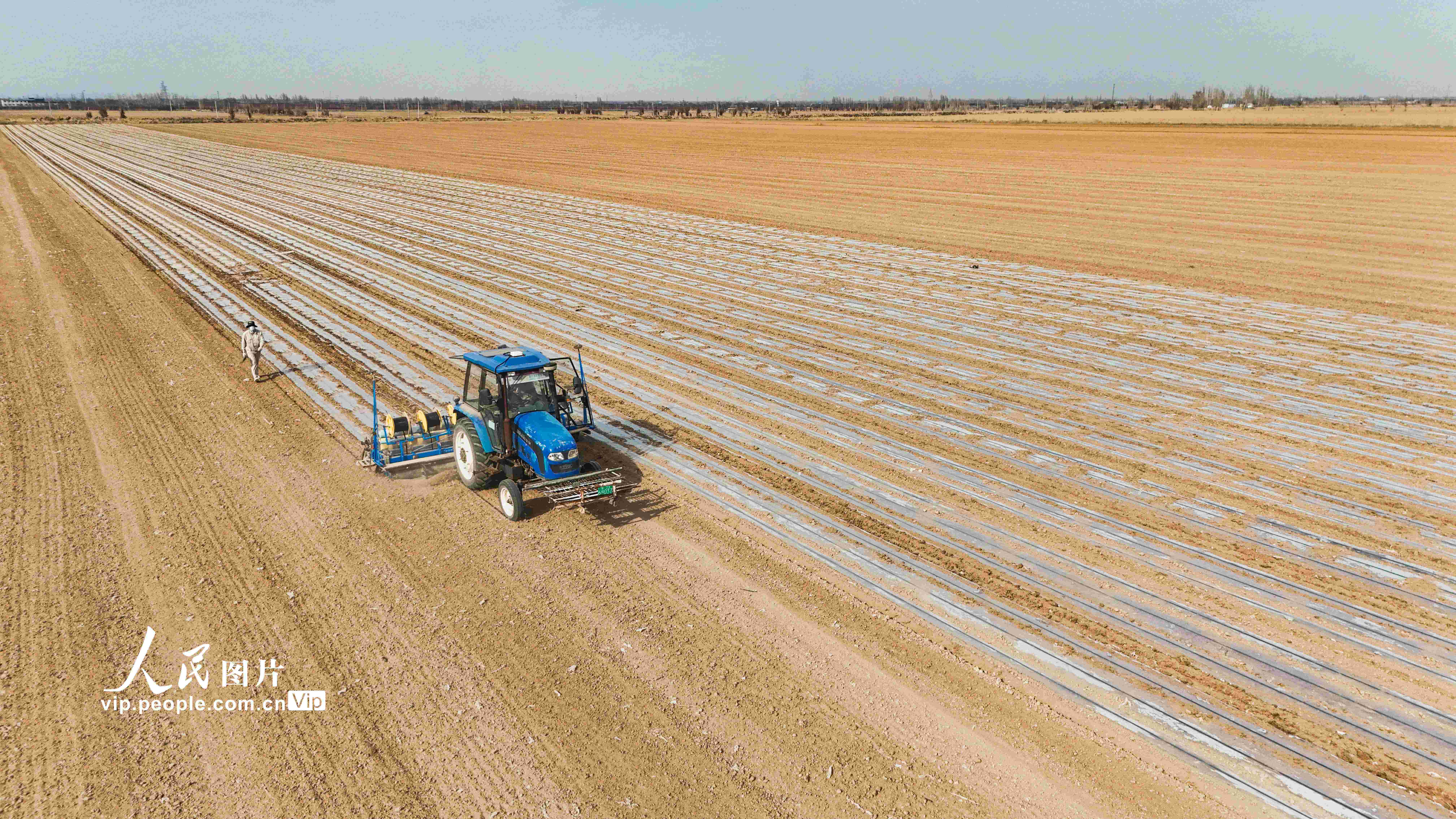 新疆呼图壁:科技赋能助力玉米播种