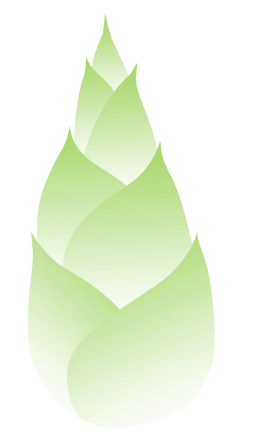 推动河长制走向河长治打造河长制管理标准化三明经验