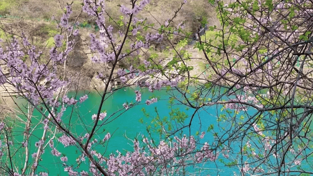 长寿山景区康百万庄园景区石河道牡丹园3天假期,巩义市迎来26万游客