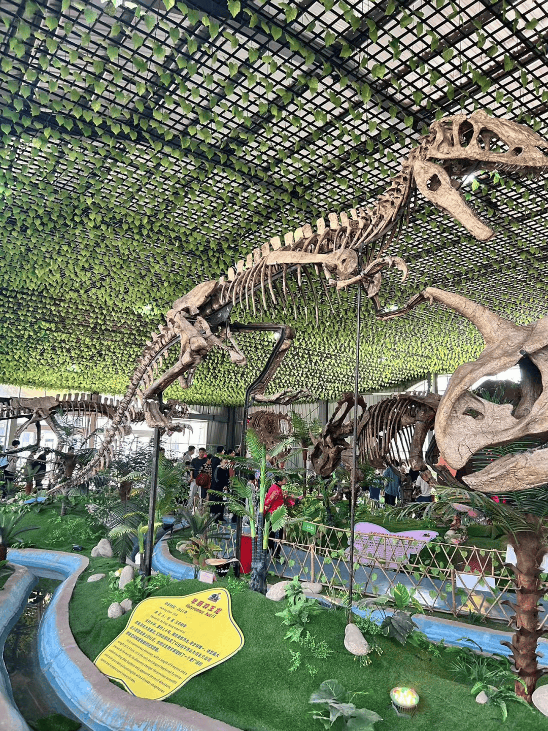 五三61研学实践感悟自然生命探秘远古恐龙基础学部2021级5班诸城