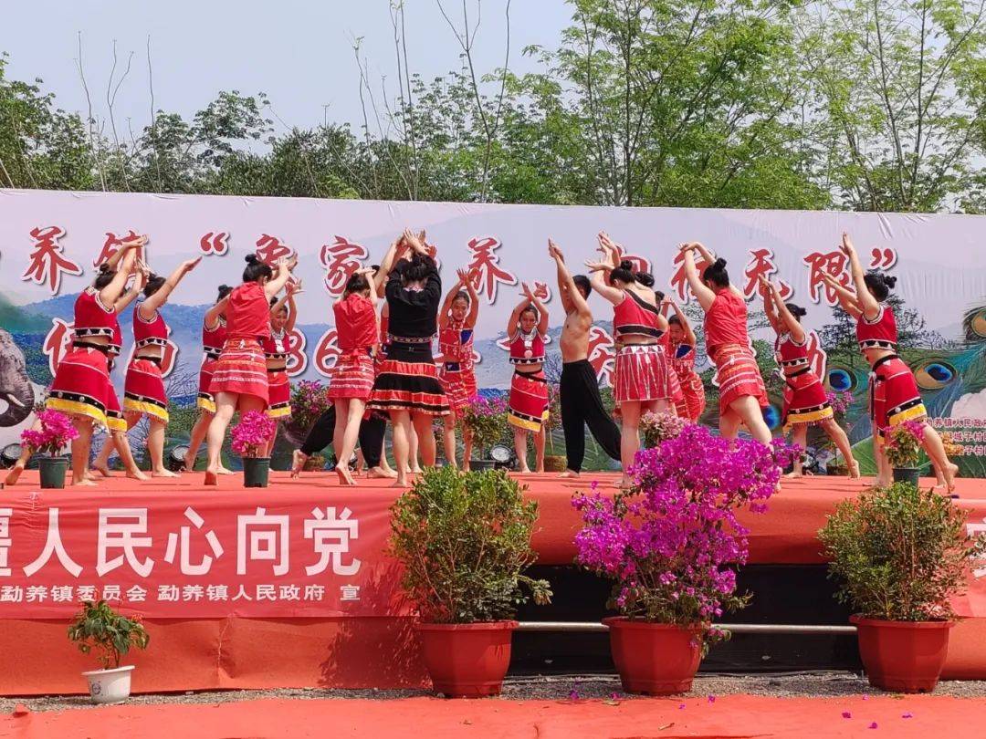 象往勐养共庆傣历1386年新年节