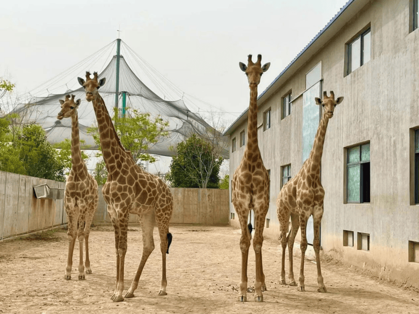 免费多家景区官宣