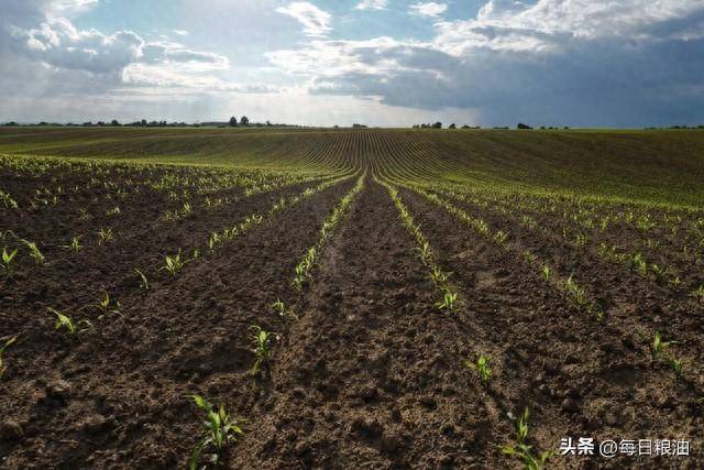 俄罗斯没收一美国农业公司在俄资产美国要求中企变卖在美耕地