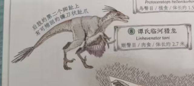 渡阴山揭秘亿万年前巴彦淖尔原住民的神秘面纱