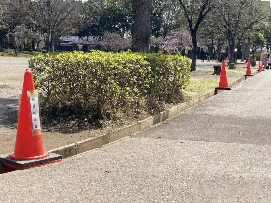 重磅网传日本签证全面放开日本在留资格人数扩大两倍