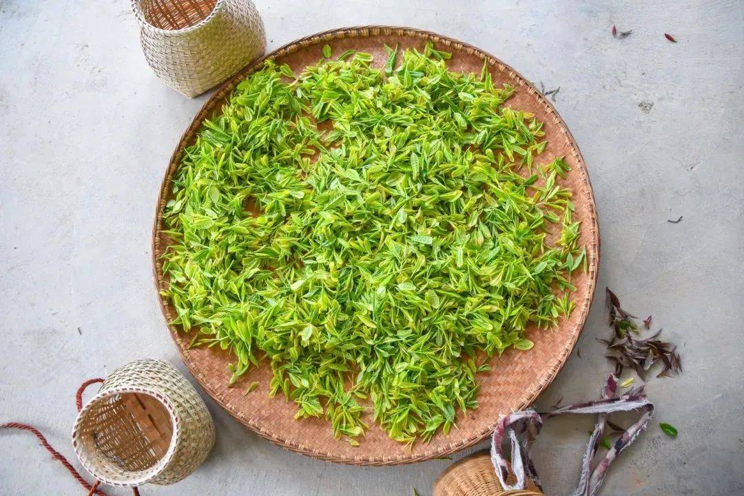 春游江淮请来池州县级非遗石台硒茶制作技艺茶香飘四海