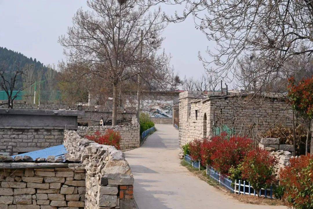 来肥城,怎能错过这个古村落