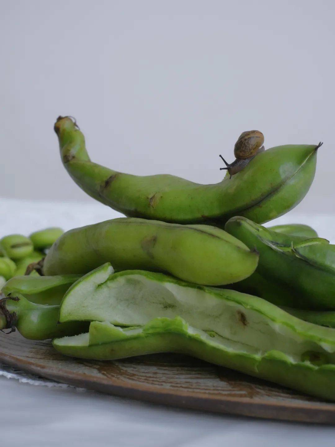 春天在盘里杯里味蕾里