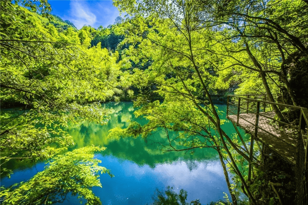 春游江淮请来池州就在本周六黄梅唱响石台醉山野景区