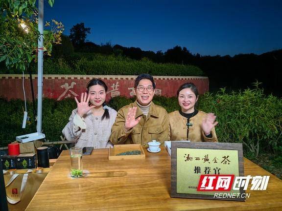 湘西春茶香③丨吉首品质立茶文旅活茶绿叶变金叶