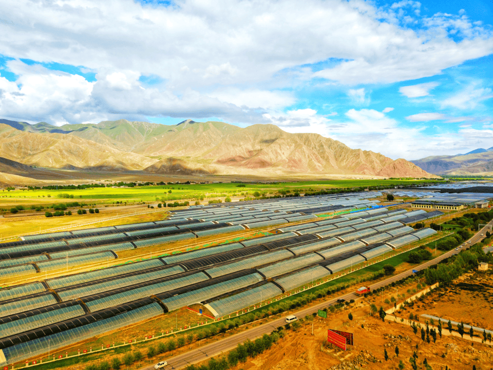 潍坊国家农综区推动农业开放寿光模式全链条输出海外