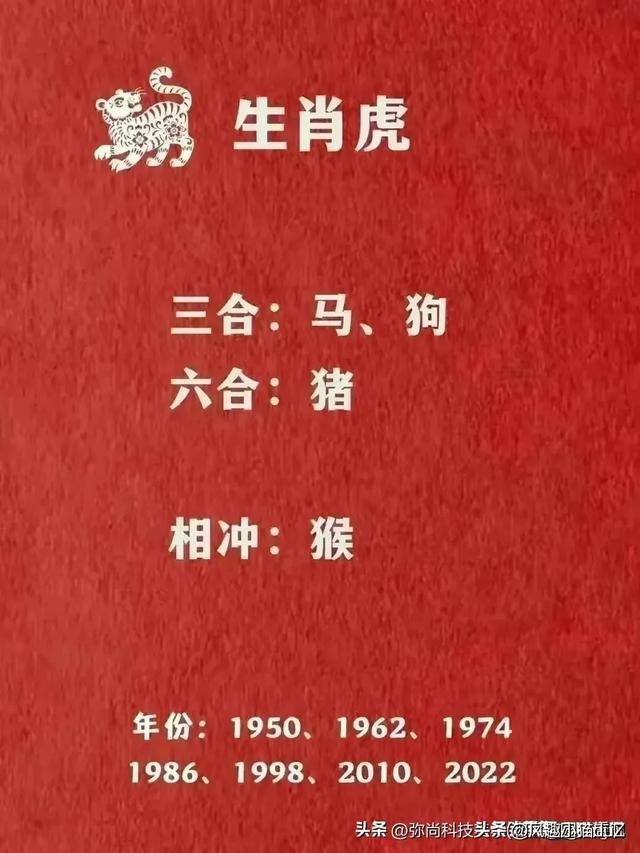 十二生肖的三合六合全集