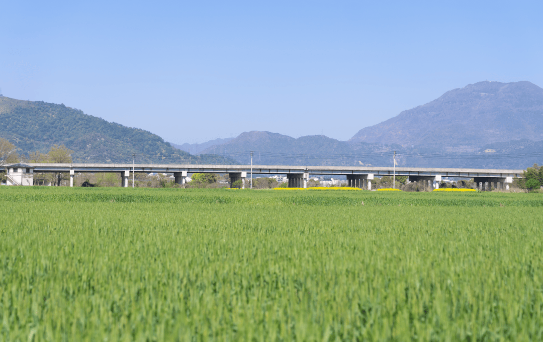 蓄势待发雨水将再次登场本周后期永嘉天气