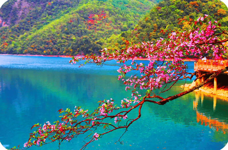 主动创稳文县公安旅游警务之花在天池景区绽放