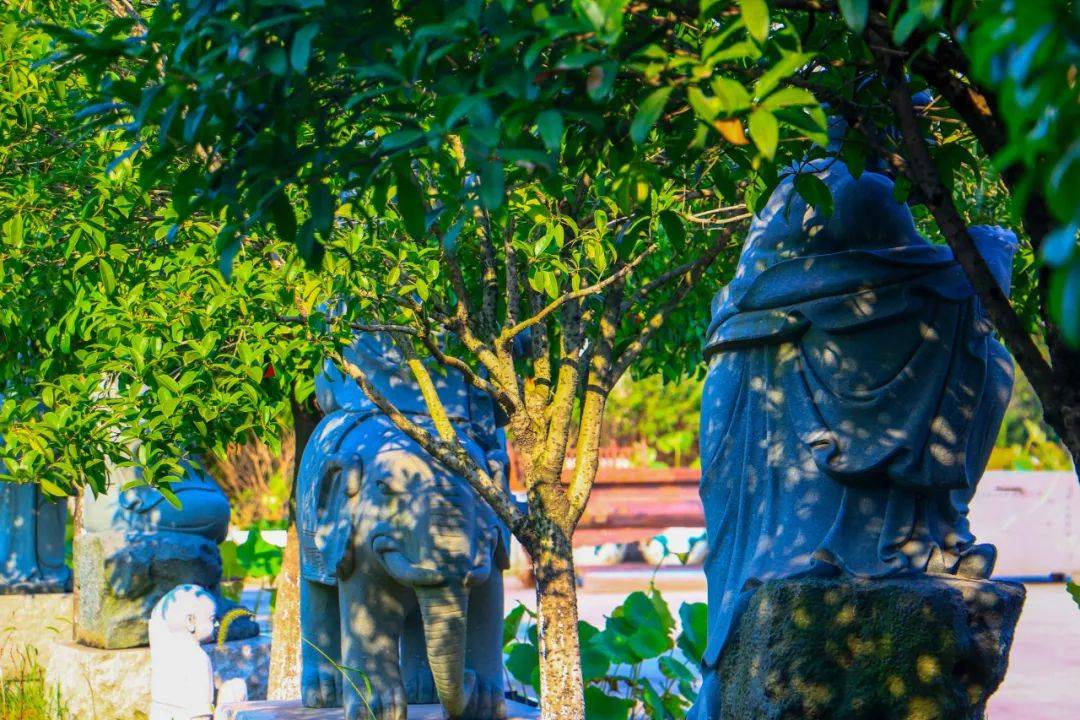 神通大师目犍连尊者的一生15