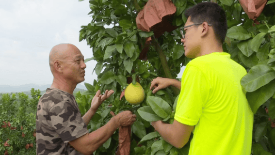 当一个干了8年的辅导员决定去山里当驻村干部