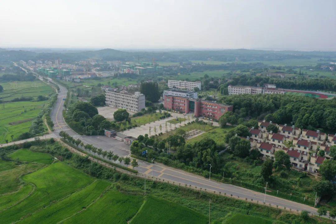 桃李满天下春晖遍四方庐江矾山中学校史发布