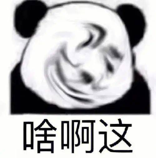 熊猫表情包模板不带字图片