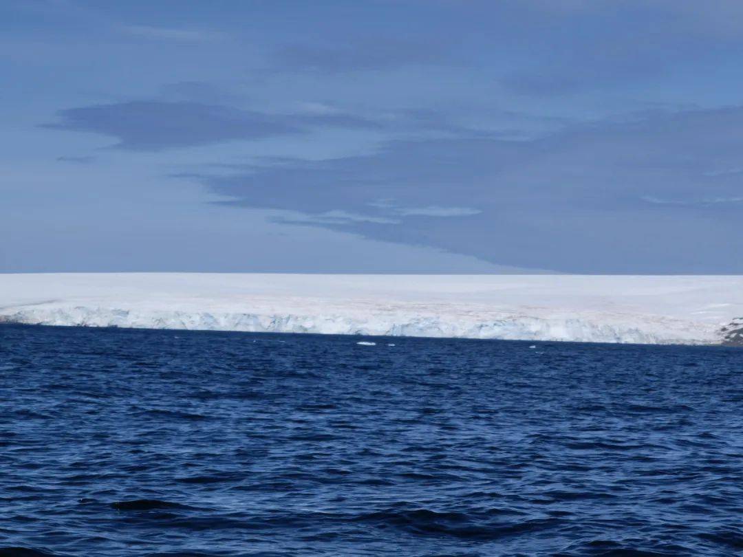 刘鸿伟_吴旭东_采样
