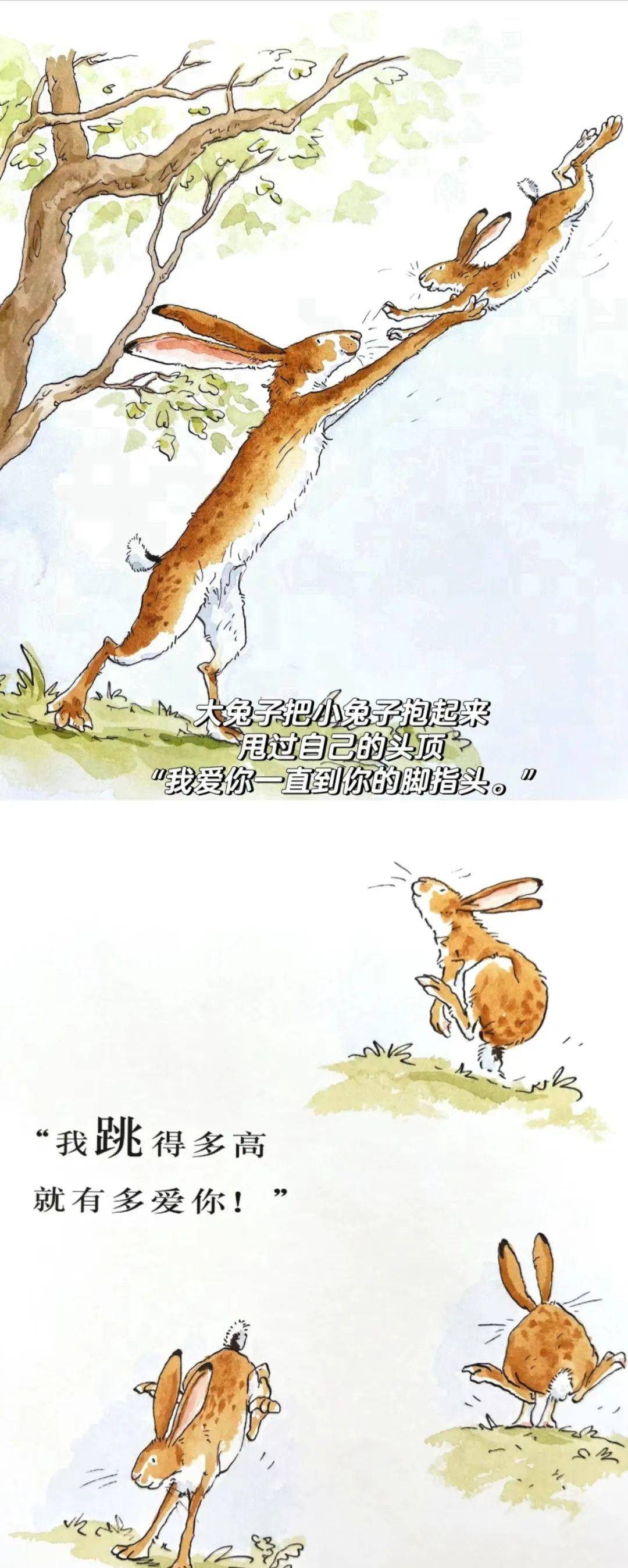 睡眠小精灵|第17期故事——《猜猜我有多爱你》