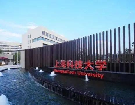 华东师范大学,华东政法大学,上海财经大学,上海科技大学投票通道|第四