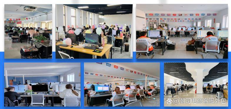 包括了解他们过去服务的客户类型,行业背景,客服团队的规模和素质等