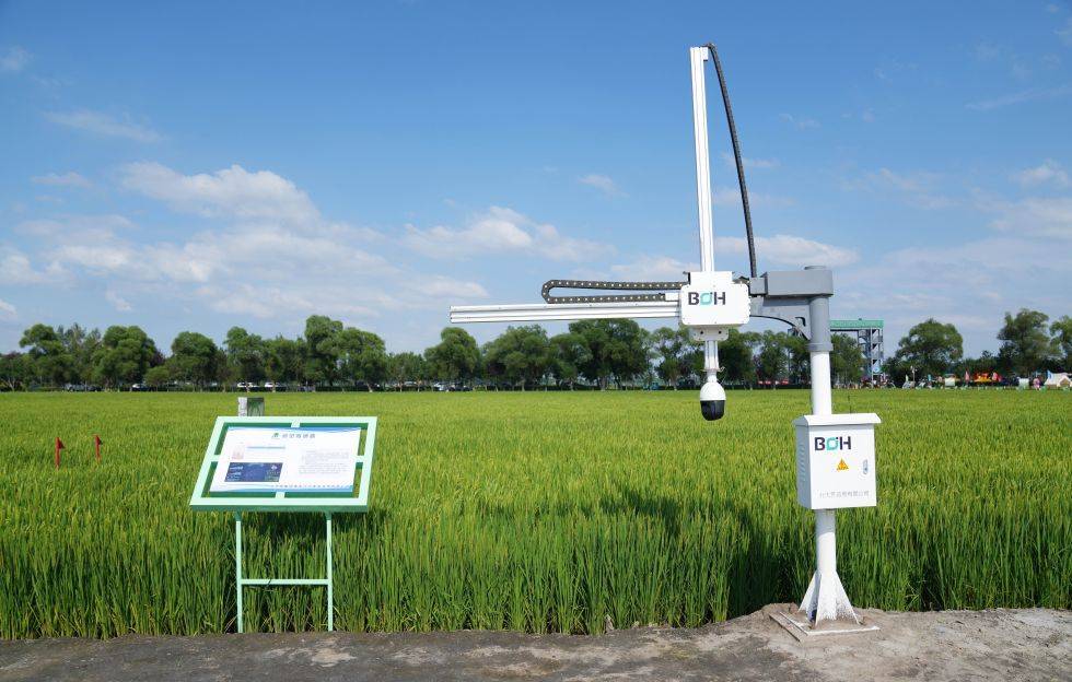 推进中国式现代化是最大的政治_建设_发展_国家