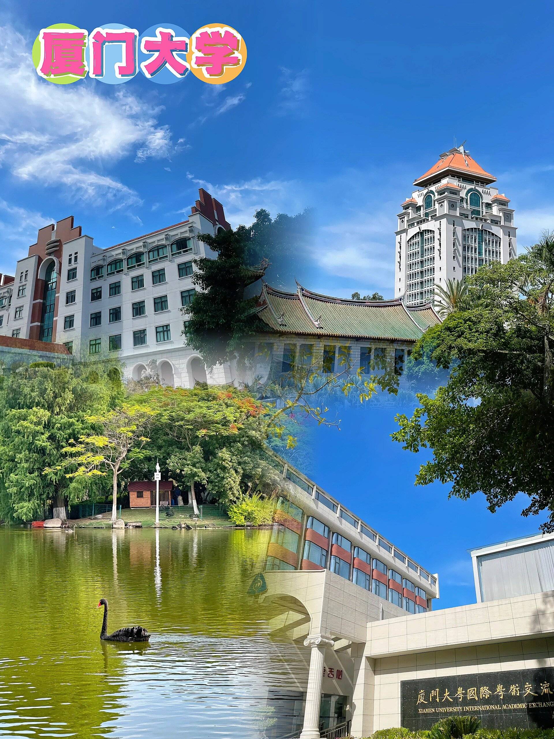 一边是碧海蓝天,一边是椰风海韵,享受海风轻拂,尽情领略厦门的海岸