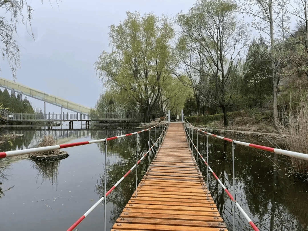 来娘娘山踏青吧,赏花登山两相宜