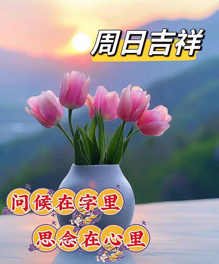 2024年4月14日最新早上好问候图片大全，今天早上好群友祝福语温馨问候语 生活 阳光 是一种