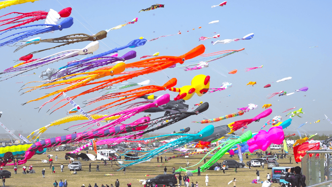 有风筝放飞票的这条必看