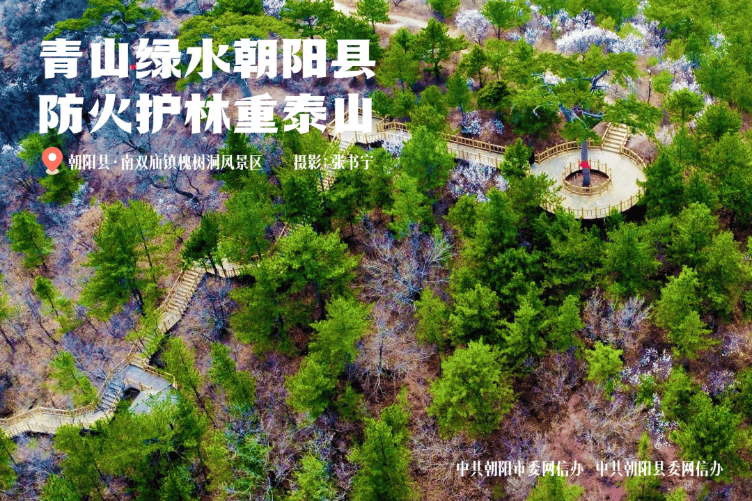 青山绿水朝阳县 防火护林重泰山