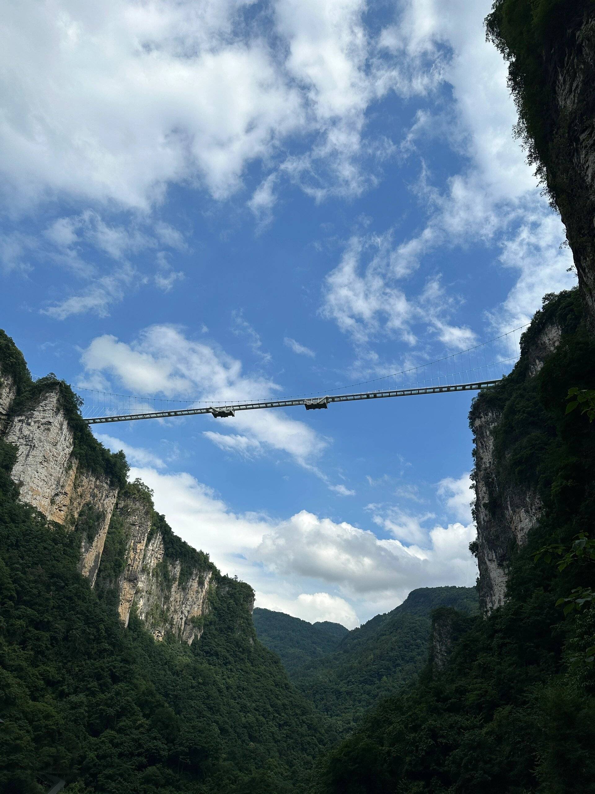 张家界旅游带孩子攻略图片真实真实经历说说自己的游玩心得