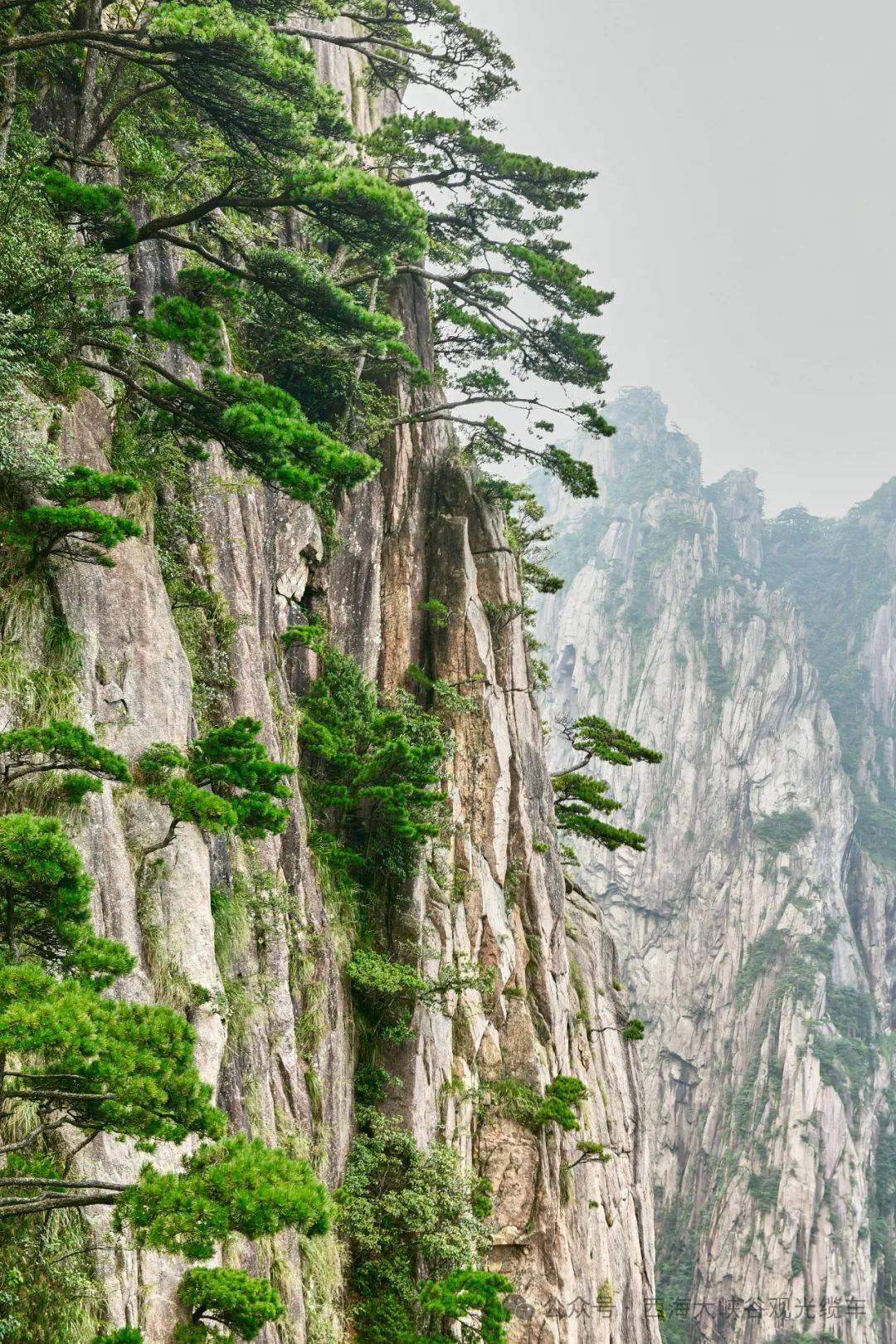 解锁黄山西海大峡谷mountain walk宝藏路线 |春游江淮