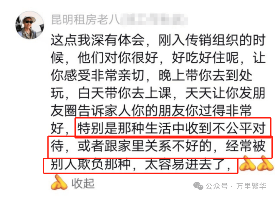 500亿血汗钱!你了解这些特大传销案就明白为何必看《草木人间》_组织_