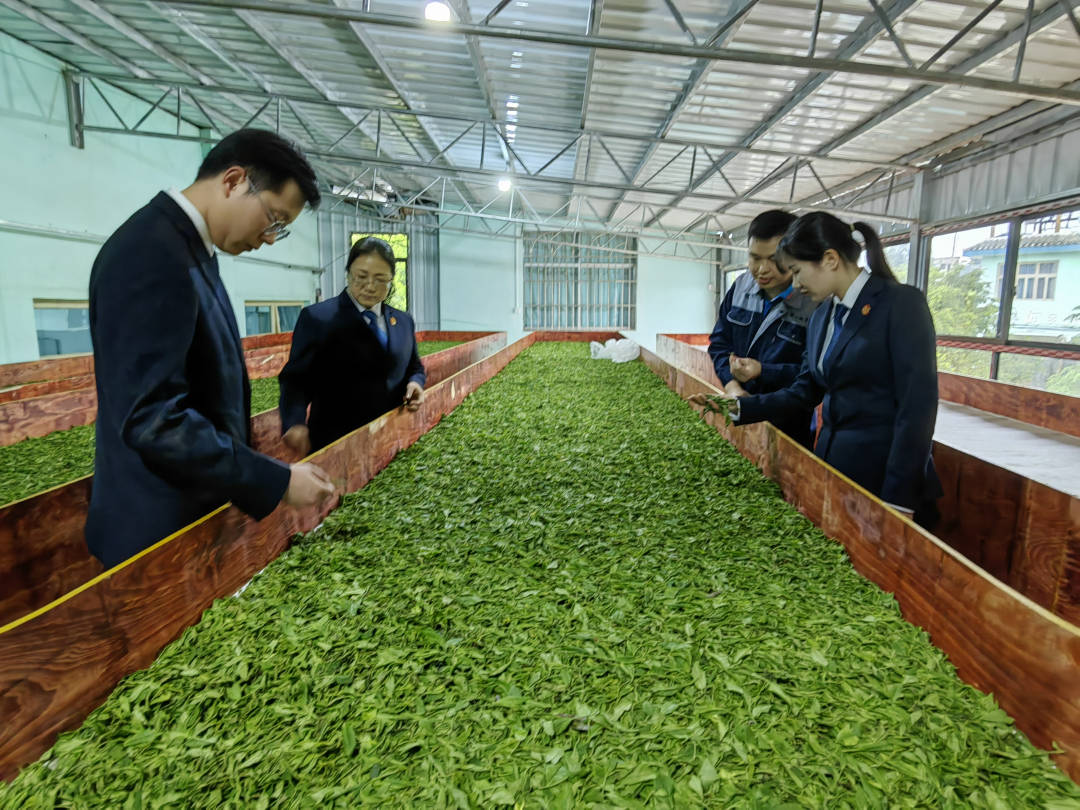 黎平法院上茶山去普法