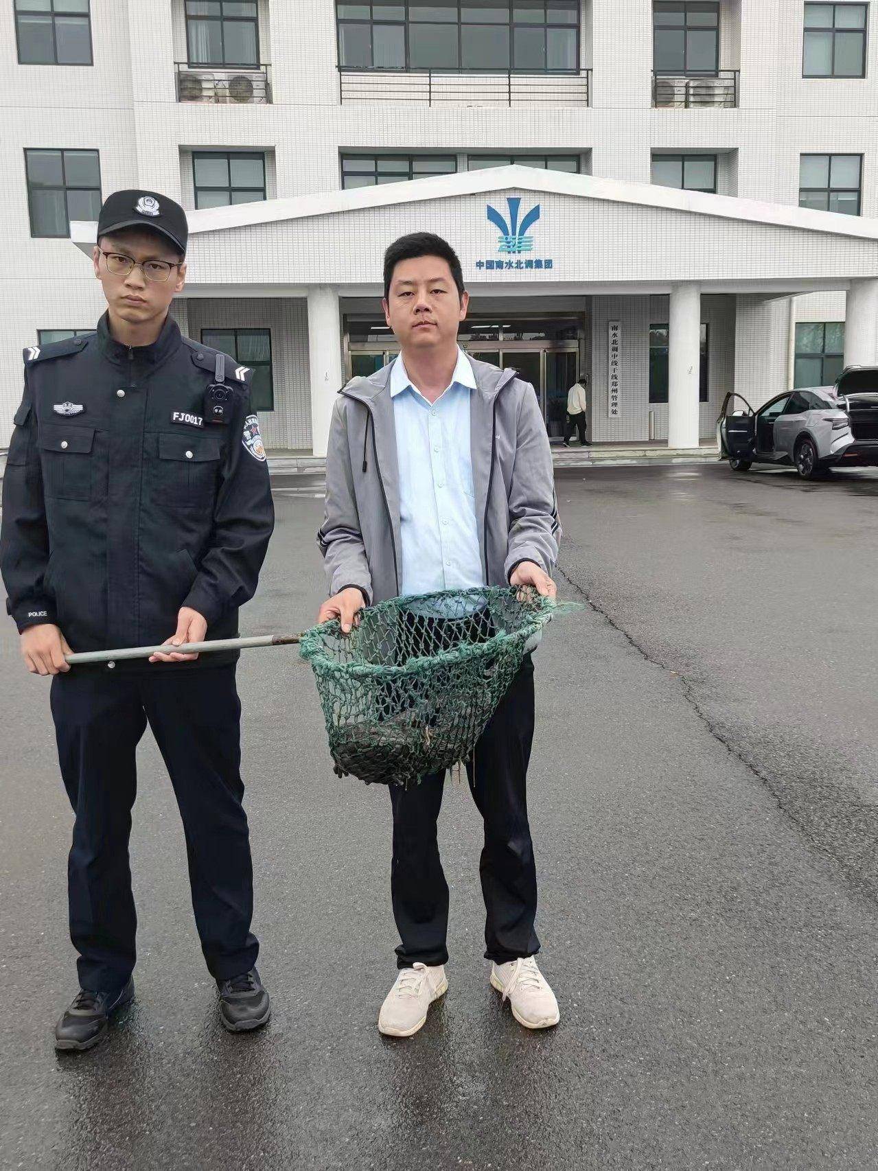 郑州西三环贾鲁河边钓友救了一条8斤的娃娃鱼