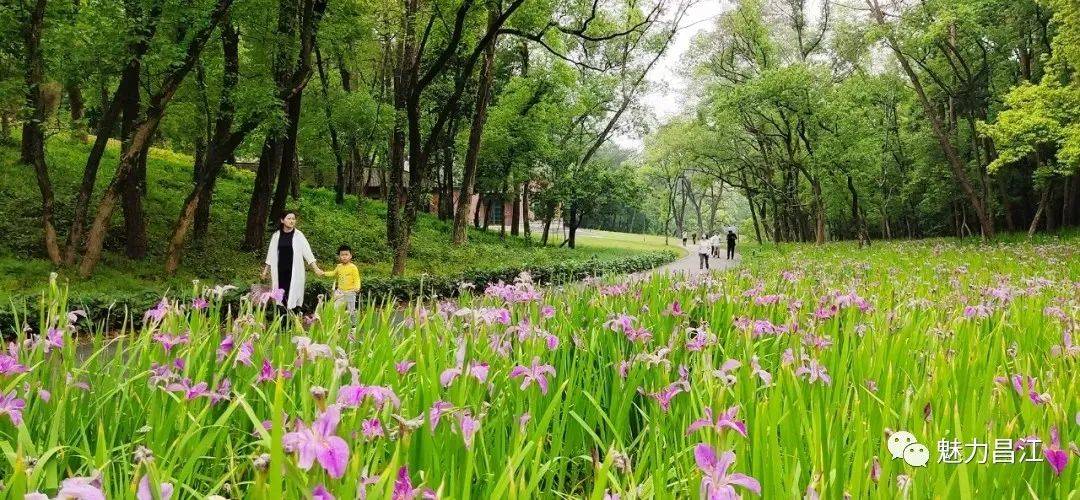 畅游昌江之美景攻略