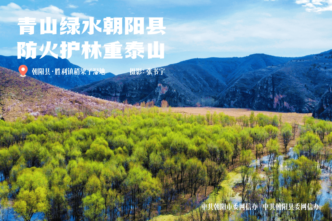 青山绿水朝阳县 防火护林重泰山