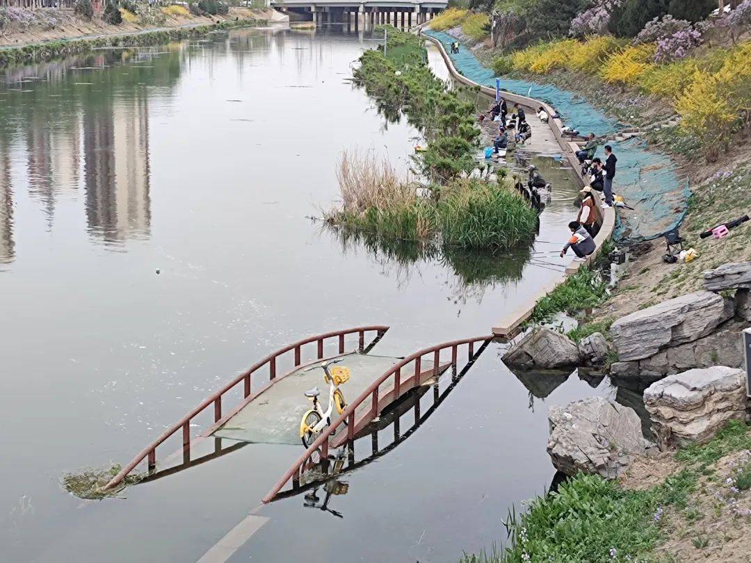 涉及大兴!雨季还没到,北京的凉水河滨水步道竟然被淹了?_内容_图片_问
