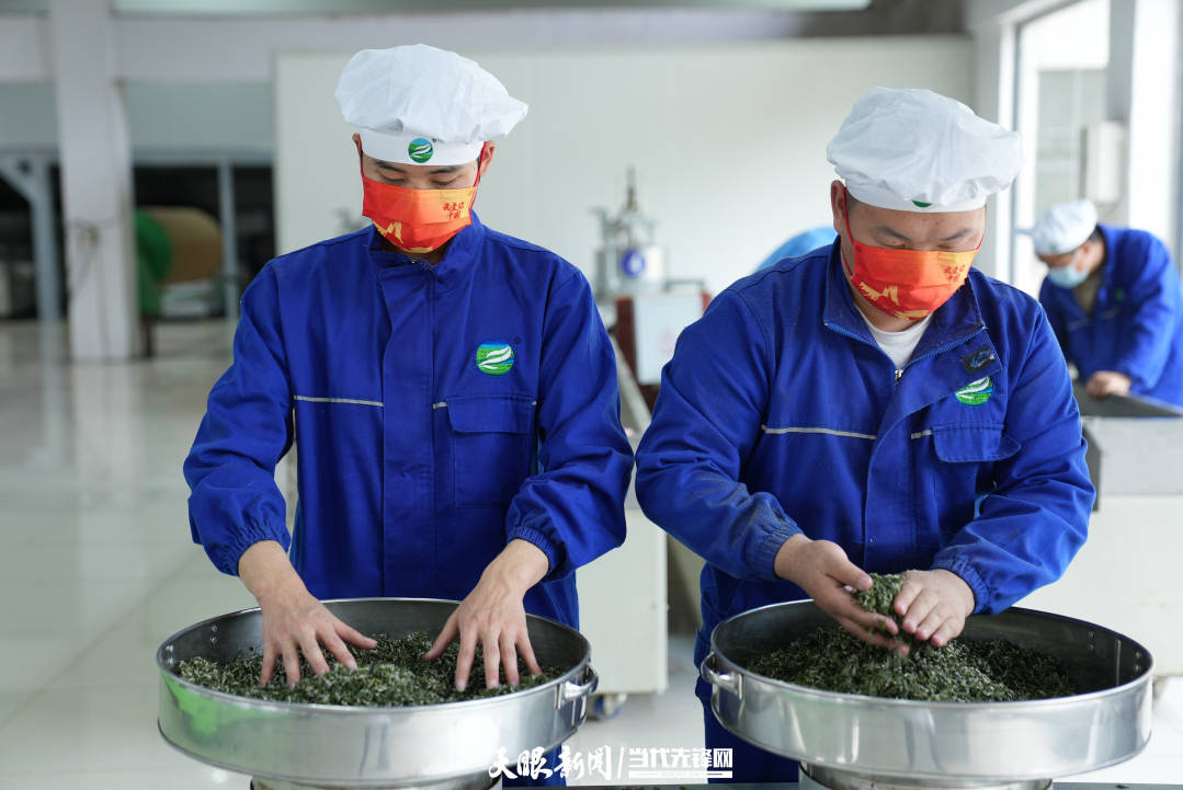 "杨昌生说,公司春茶以生产"绿宝石"为主,夏秋茶以生产"红宝石"为主