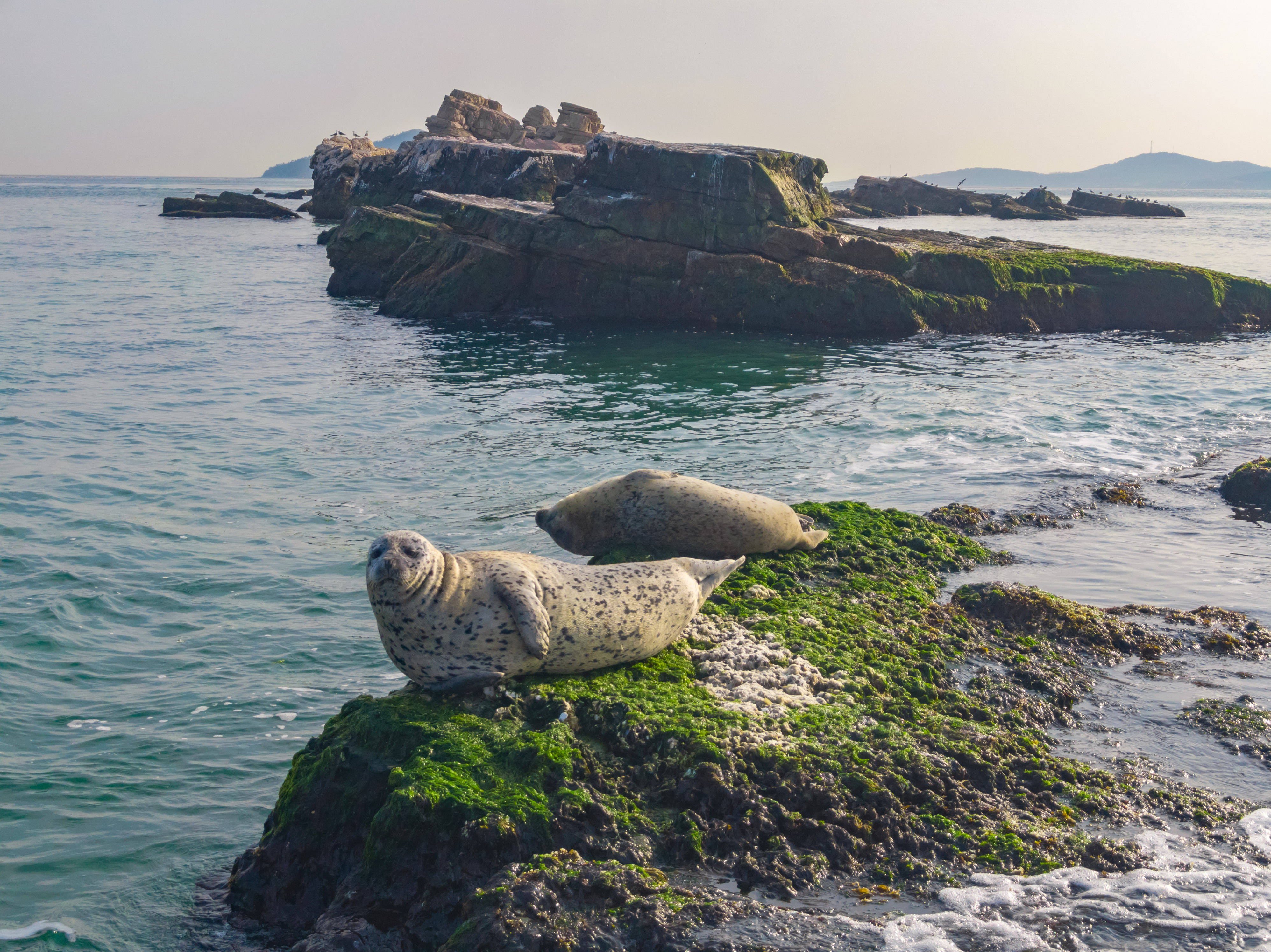 西太平洋_海域_大海