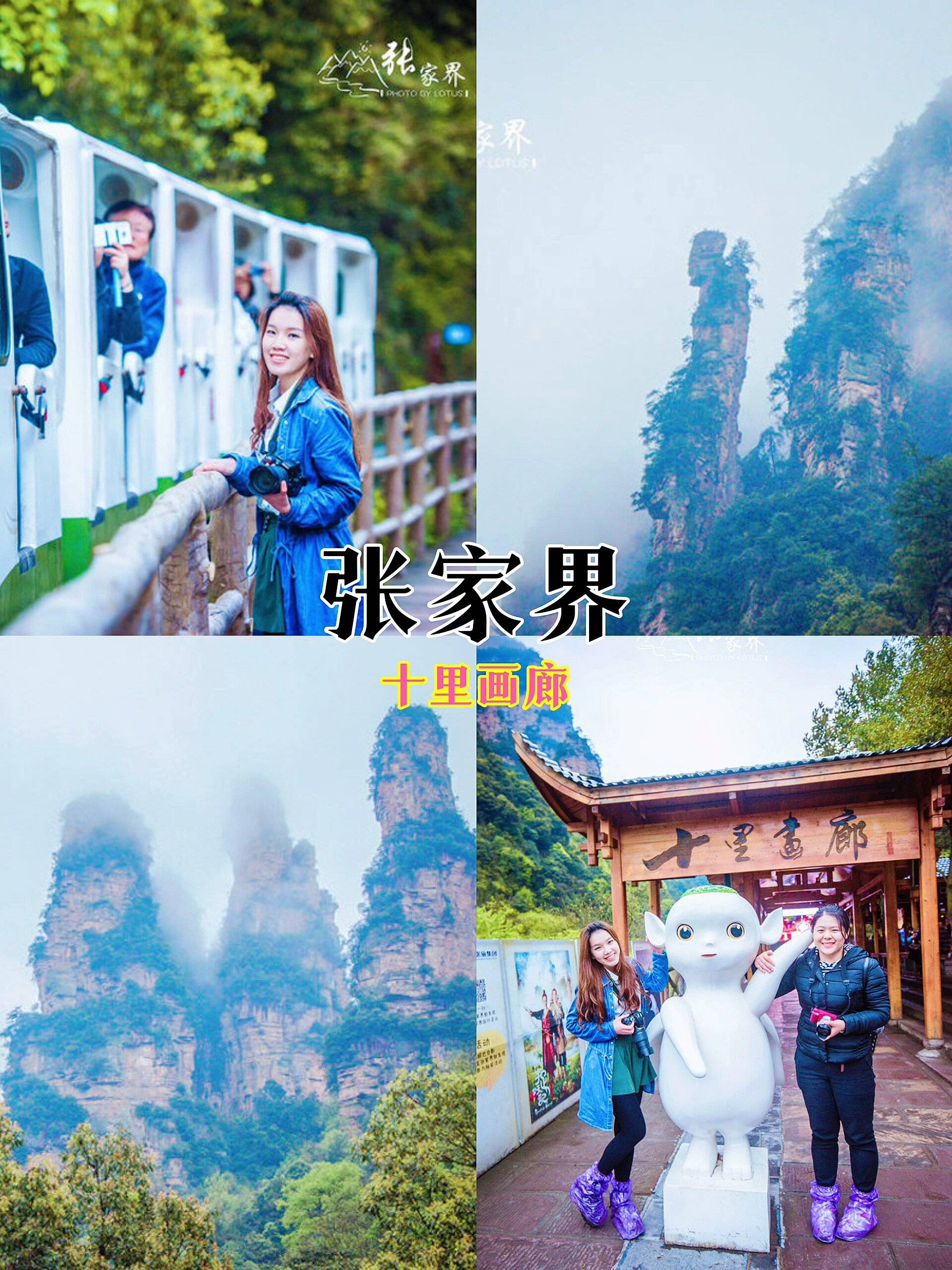 张家界旅游攻略百度本地人都这么玩