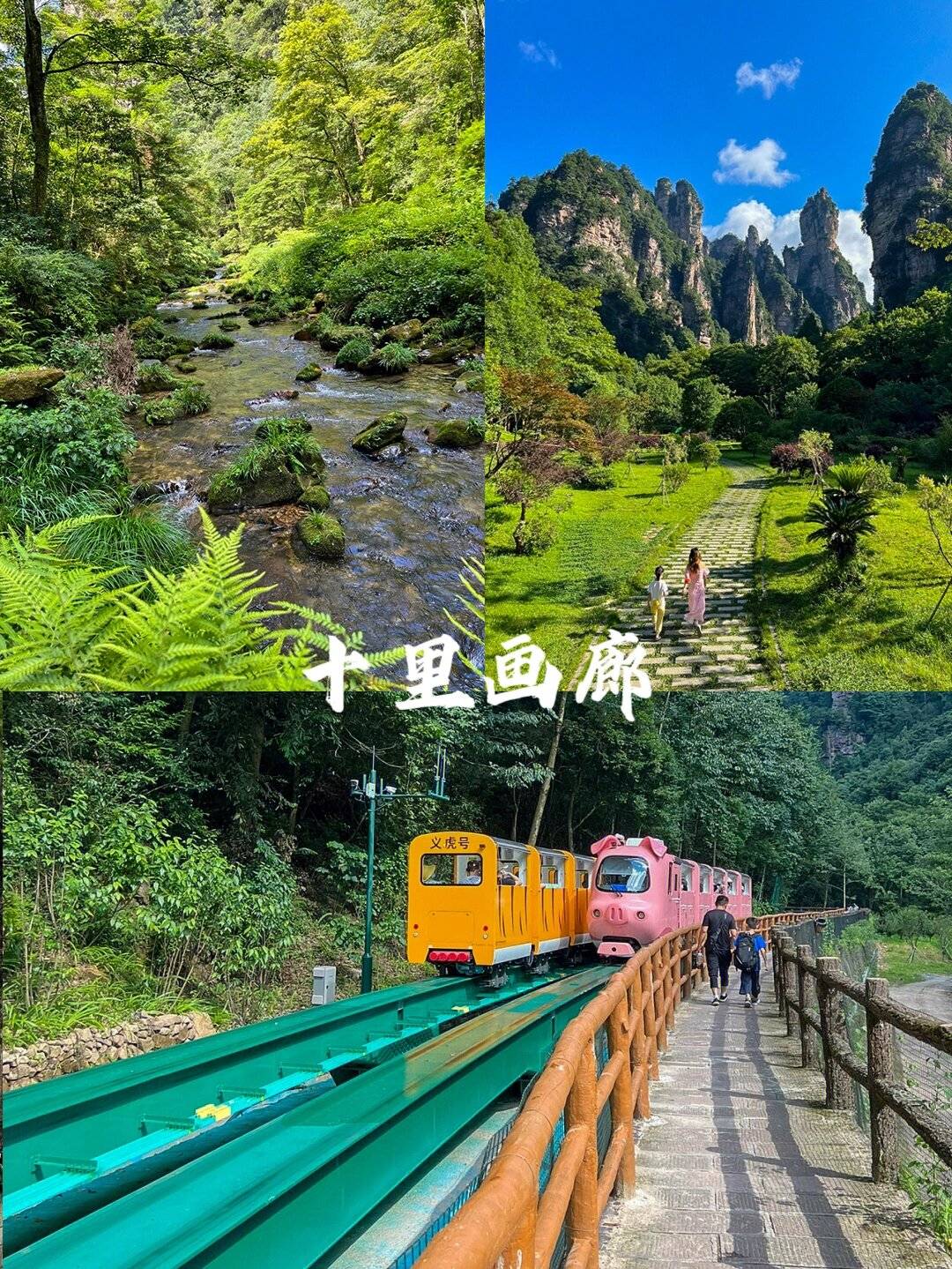 6天长沙到张家界旅游攻略分享真实游玩经历