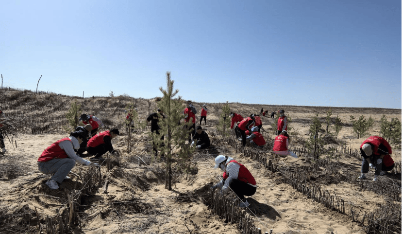 开展"防沙固沙融媒行 共建可爱鄂托克"主题党日活动