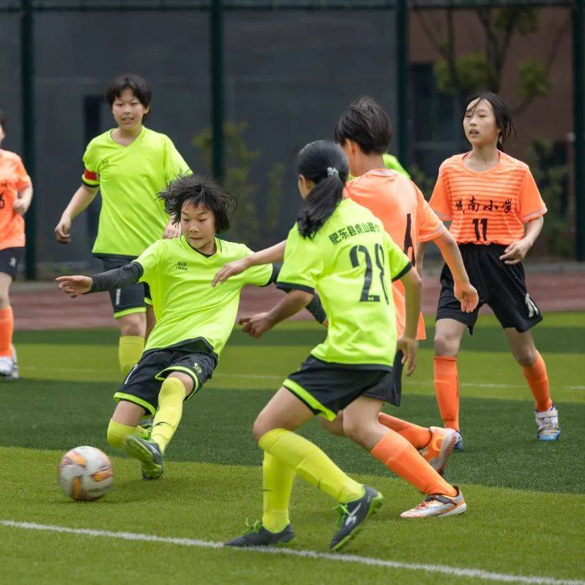 合肥足球少年挥汗逐梦绿茵场_比赛_小学_体育