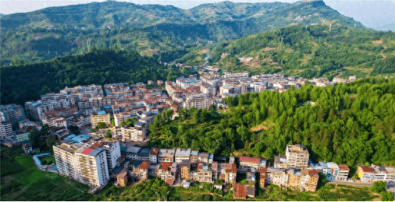 重庆市云阳县平安镇深入推进1333工作模式持续提升基层治理实战实效