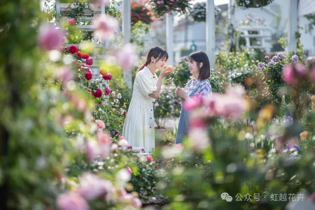 2024世界花园大会!蓄势待开,和而不同_海宁_国际_植物