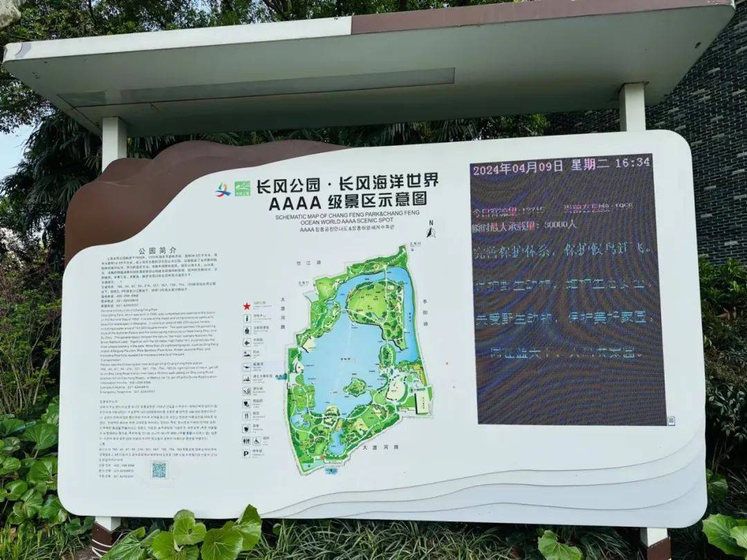 守护蓝天精灵 共享鸟语花香_绿化_保护_长风公园